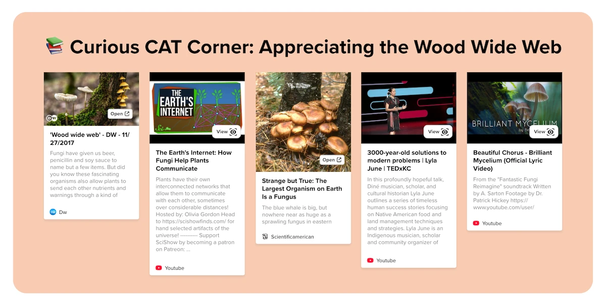 The Curious CAT Corner from the learning section offers links to articles and videos to help participants appreciate the Wood Wide Web of plants.